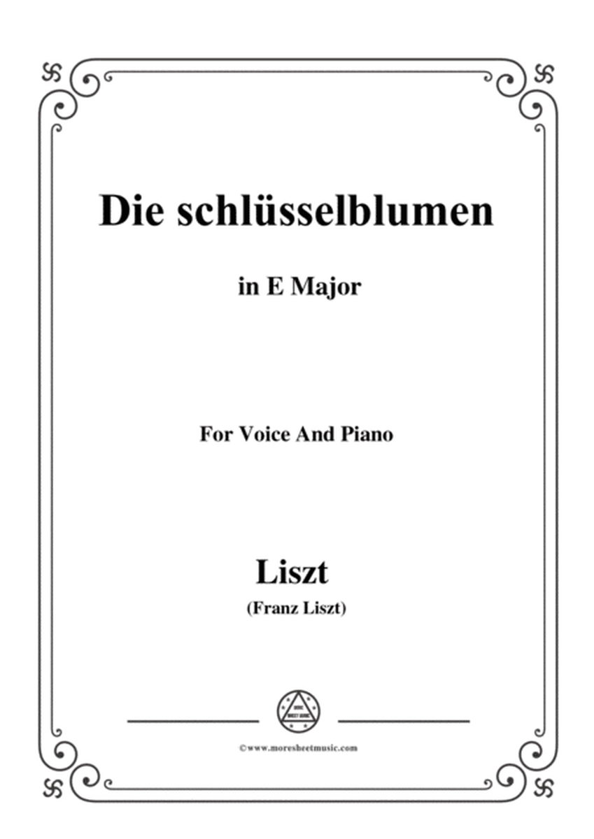 Liszt-Die schlüsselblumen in E Major,for Voice and Piano image number null