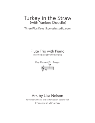 Book cover for Turkey in the Straw - Flute Trio with Piano Accompaniment