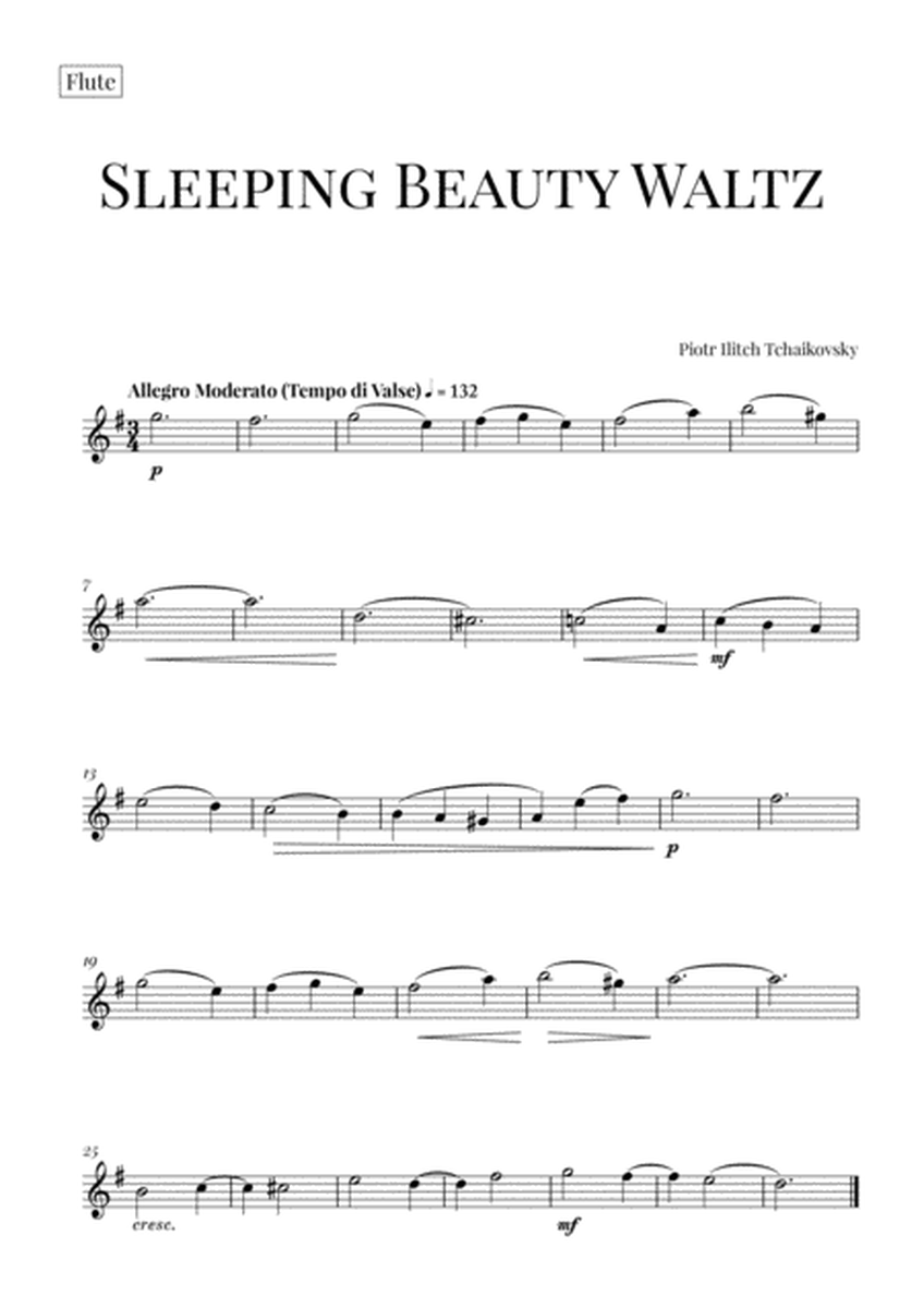 Tchaikovsky: Sleeping Beauty Waltz for Flute and Clarinet in Bb Duet (Woodwind Duet) image number null