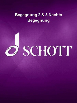 Begegnung 2 & 3 Nachts Begegnung