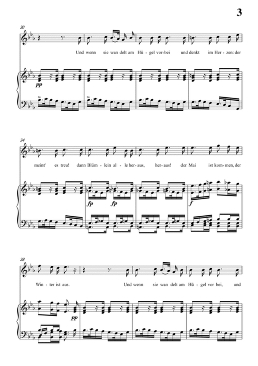 Schubert-Trockne Blumen,Op.25 No.18 in bE minor,for Vocal and Piano