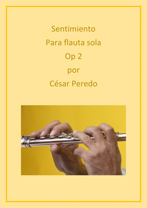 Book cover for Sentimiento para flauta sola Op 2