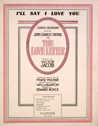 Book cover for I'll Say I Love You