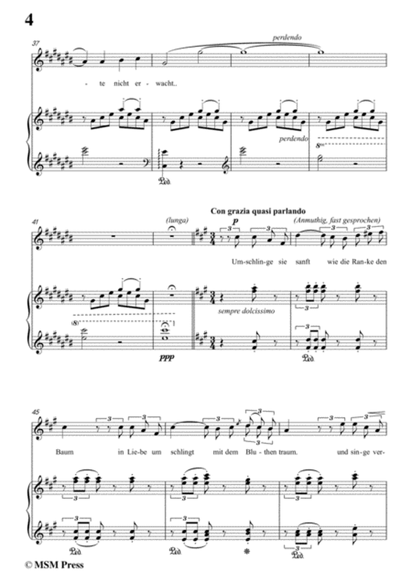 Liszt-Kling' leise,mein lied in C sharp Major,for Voice and Piano image number null