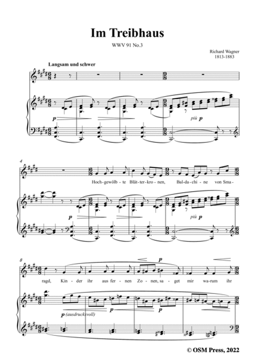 R. Wagner-Im Treibhaus,in c sharp minor,WWV 91 No.3,from Wesendonck-Lieder image number null