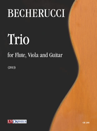 Book cover for Trio for Flute, Viola and Guitar (2013)