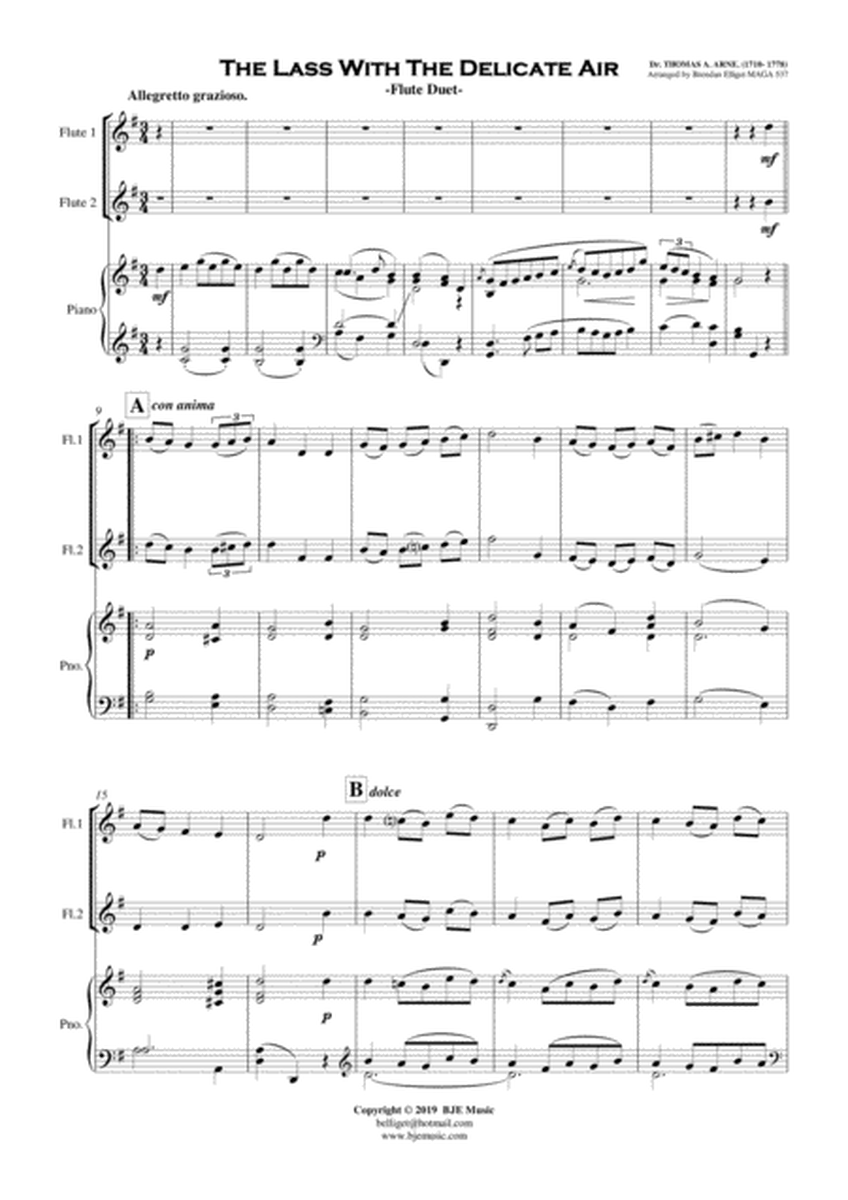 The Lass With The Delicate Air - Flute Duet with Piano accompaniment Score and Parts PDF image number null
