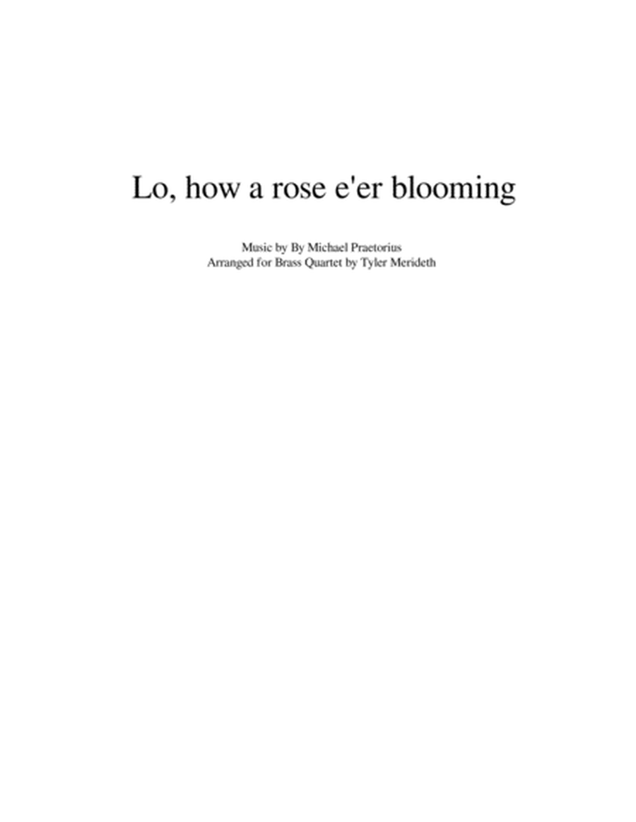 Lo, How A Rose E'er Blooming for Brass Quartet image number null