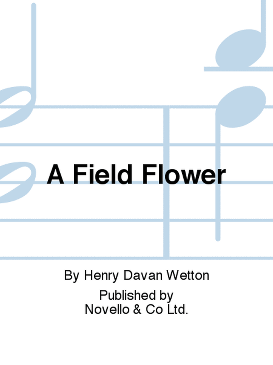 A Field Flower