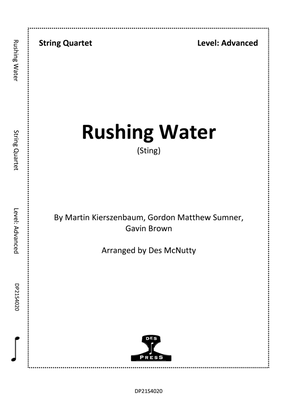 Book cover for Rushing Water