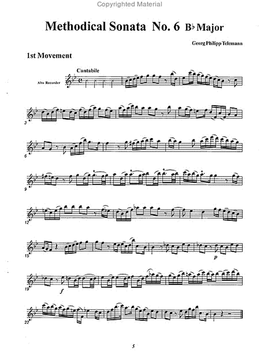 Methodical Sonata No. 6 B-flat minor image number null