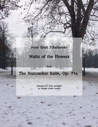 Book cover for Tchaikovsky - Waltz of the Flowers (The Nutcracker) for brass ensemble