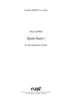 Book cover for Quels Sauts!