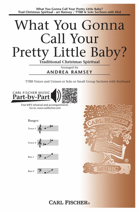 Book cover for What You Gonna Call Your Pretty Little Baby?