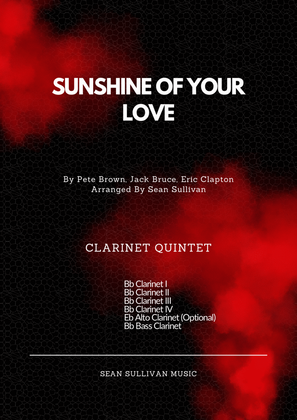 Book cover for Sunshine Of Your Love