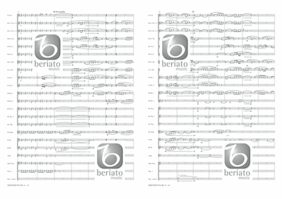 Sinfonietta No. 4