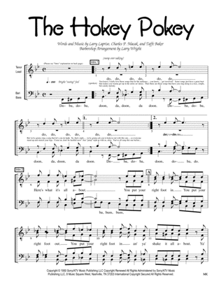 Book cover for The Hokey Pokey