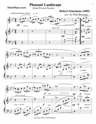 Book cover for Pleasant Landscape-Schumann-Flute-Piano