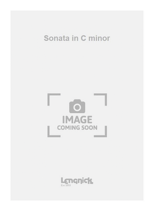 Book cover for Sonata in C minor