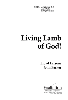 Book cover for Living Lamb of God!