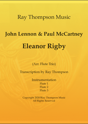 Book cover for Eleanor Rigby