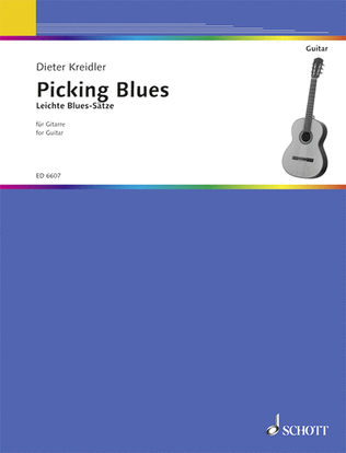 Book cover for Picking Blues