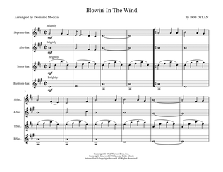 Book cover for Blowin' In The Wind