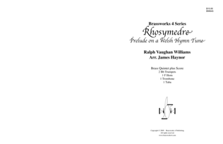 Book cover for Rhosymedre