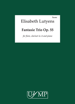 Book cover for Fantasie-Trio Op.55