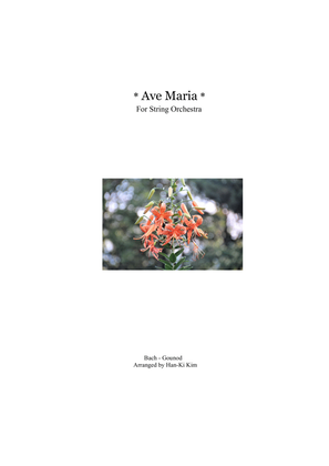 Book cover for Ave Maria (For String Orchestra)