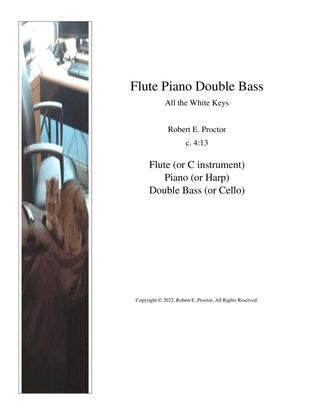 Flute Piano Double Bass - All the White Keys