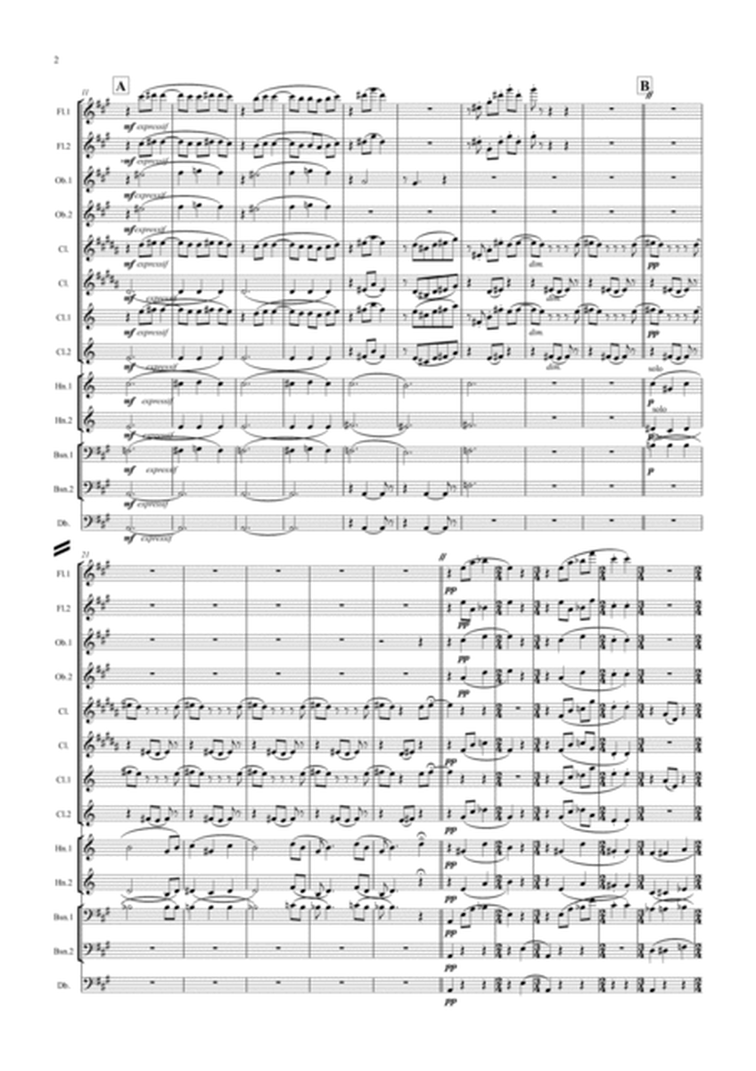 Debussy: Piano Preludes Bk.1 No.4 Les sons et les parfums tournent dans l'air du soir - symph. wind image number null