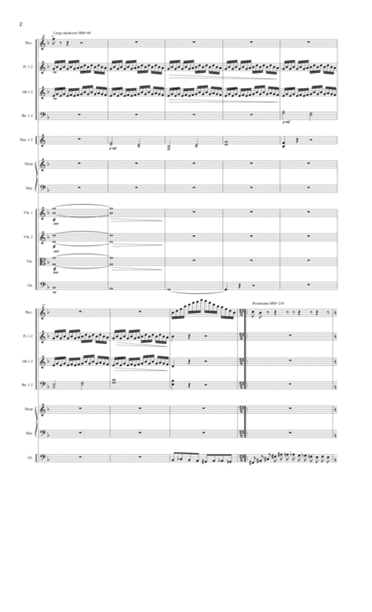 Symphony No 15 in D minor "Ukraine" Opus 22 - 2nd Movement (2 of 5) - Score Only