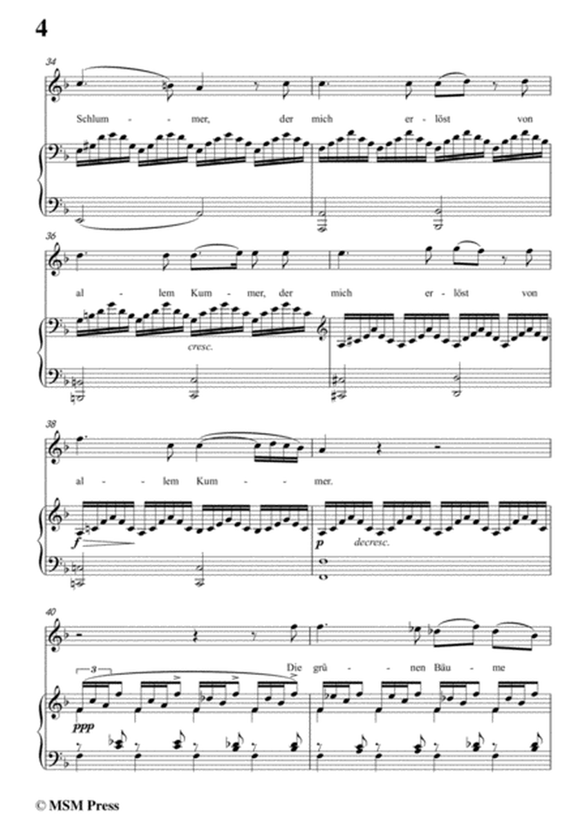 Schubert-Nachtstück,Op.36 No.2,in d minor,for Voice&Piano image number null