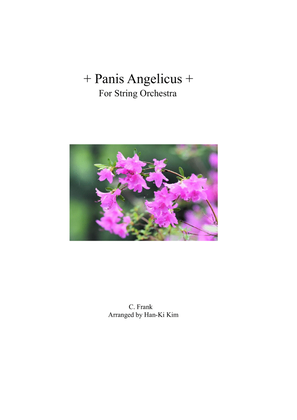 Book cover for Panis Angelicus (For String Orchestra)