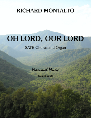 Book cover for Oh Lord, Our Lord