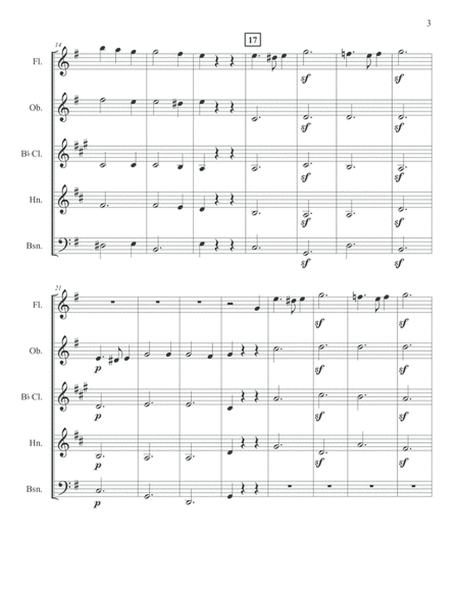 Beethoven Allegretto (Braun) Woodwind Quintet score and parts image number null