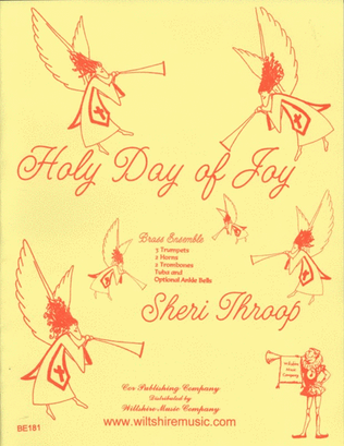 Book cover for Holy Day of Joy