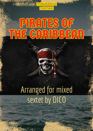 Book cover for Pirates Of The Caribbean