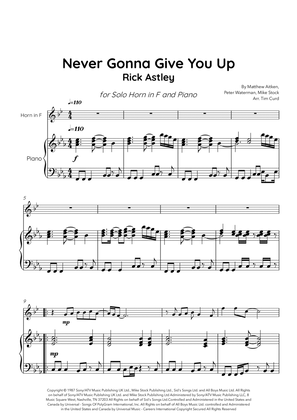 Book cover for Never Gonna Give You Up