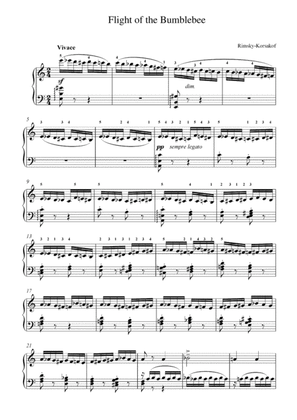 The Flight of the Bumblebee (Piano)