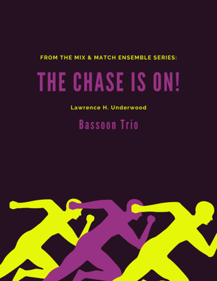 Book cover for The Chase Is On!