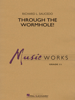 Book cover for Through the Wormhole!