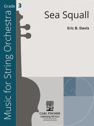 Book cover for Sea Squall