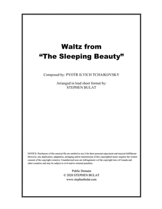 Book cover for Sleeping Beauty Waltz (Tchaikovsky) - Lead sheet (key of C)