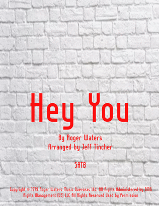 Book cover for Hey You