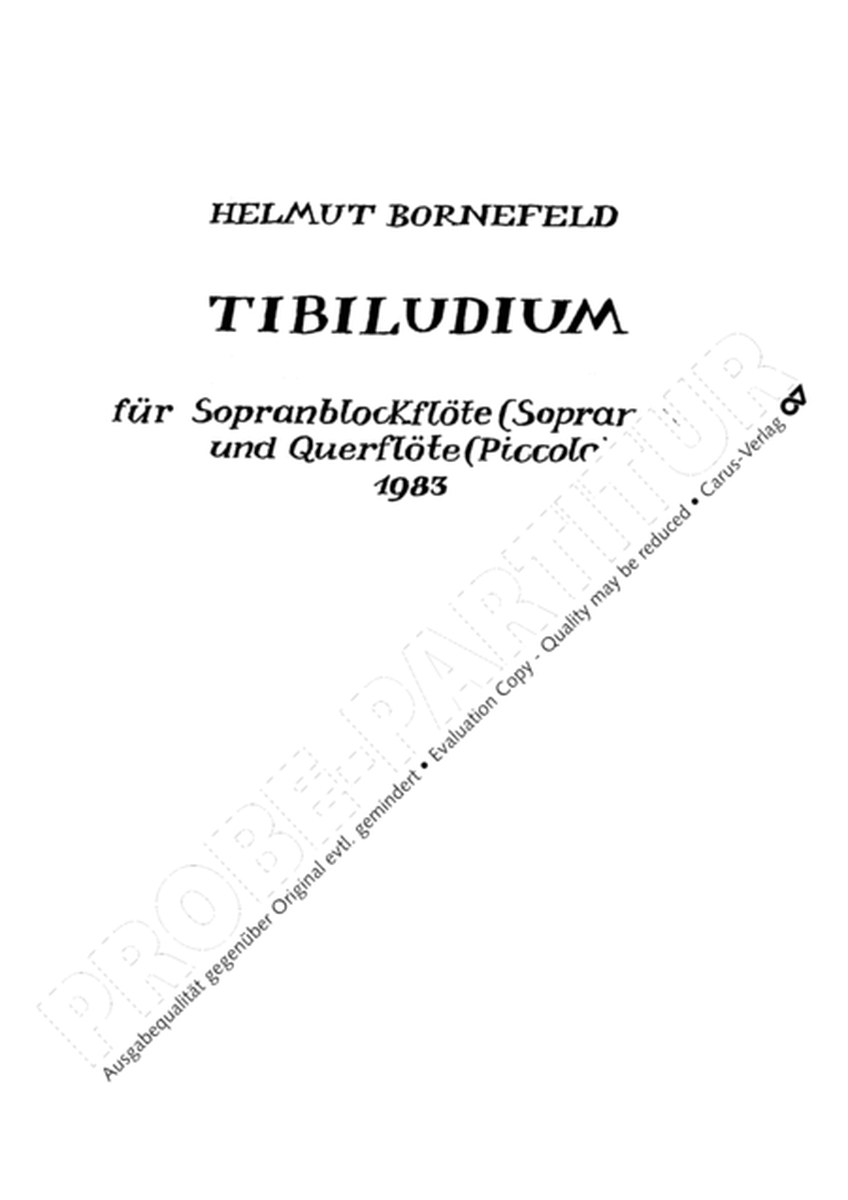 Tibiludium