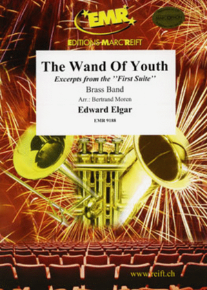 Book cover for The Wand Of Youth