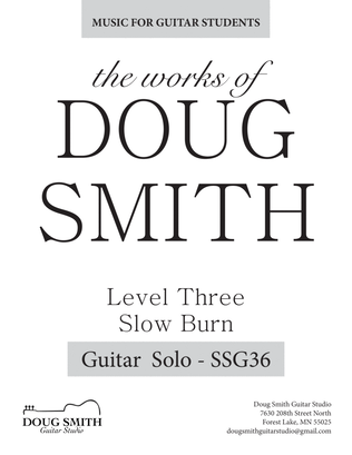 Book cover for Slow Burn