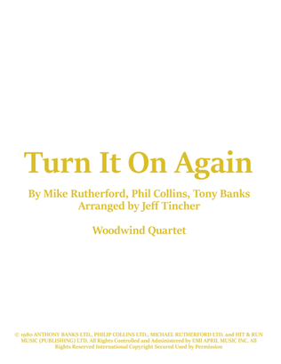 Book cover for Turn It On Again